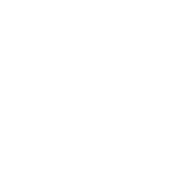 Mr Rex Casino