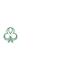 Dublinbet Casino